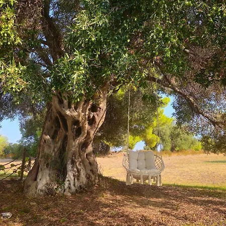 On Earth - Private Villa, Huge Garden, 4 Beaches Villa *